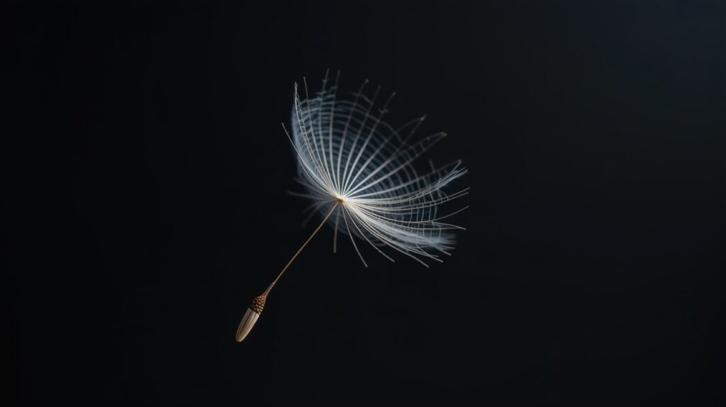 Metaphor