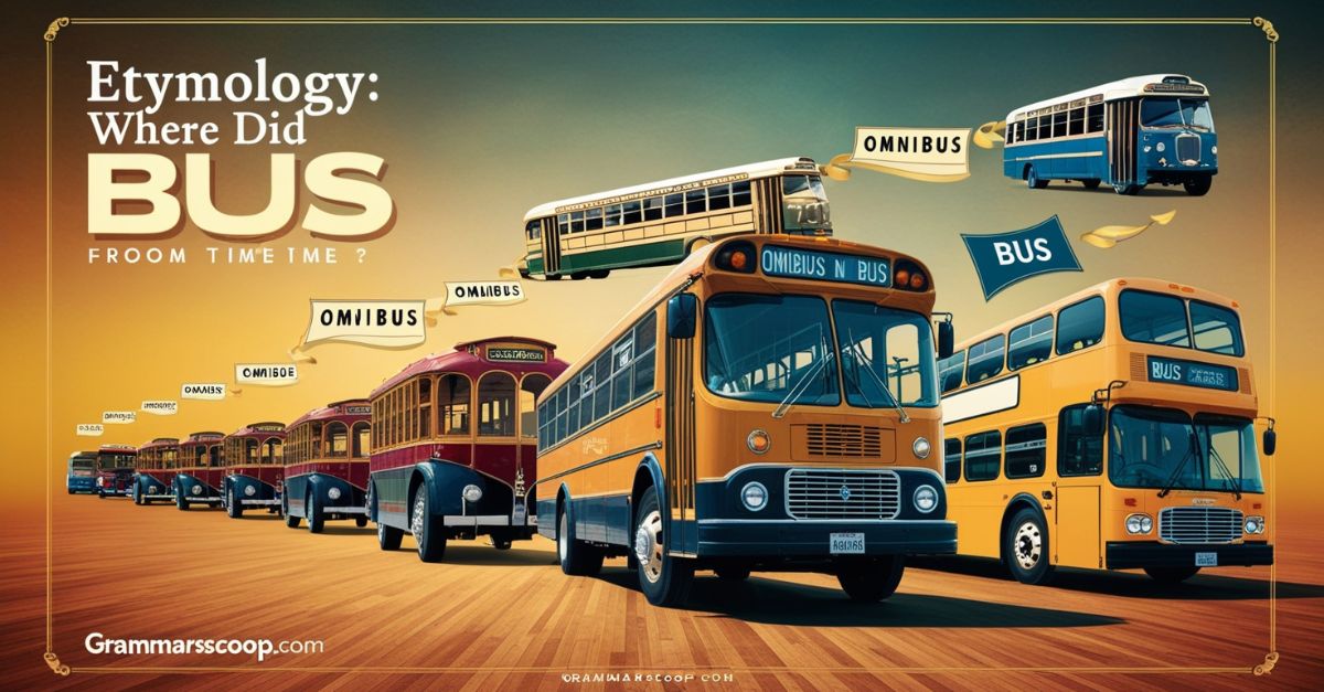 Etymology Where Did Bus Come From