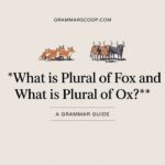 What is Plural of Fox and What is Plural of Ox?
