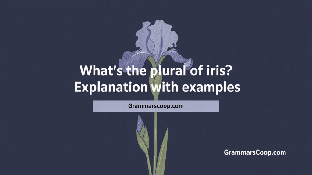 What’s the Plural of Iris? Explanation with Examples