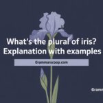 What’s the Plural of Iris? Explanation with Examples