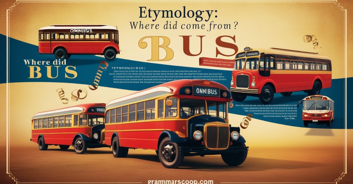 Where Did Bus Come From