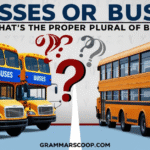 Busses Or Buses: What’s the Proper Plural of Bus?
