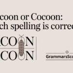 Cacoon or Cocoon: Which Spelling is Correct?